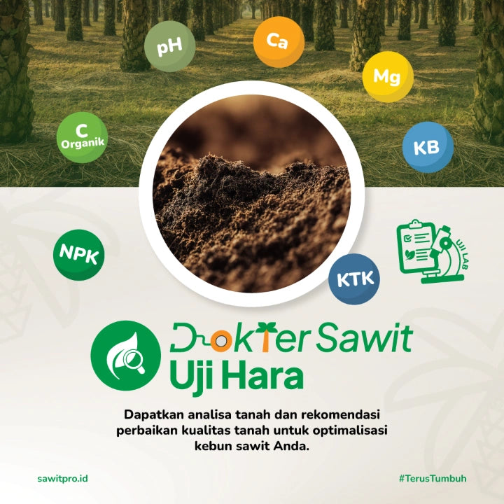 Dokter Sawit Uji Tanah (Fisik dan Kimia Lengkap)