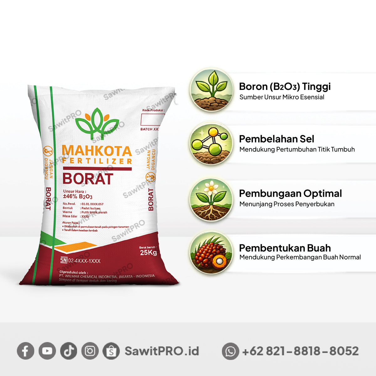 Borat Mahkota 25kg