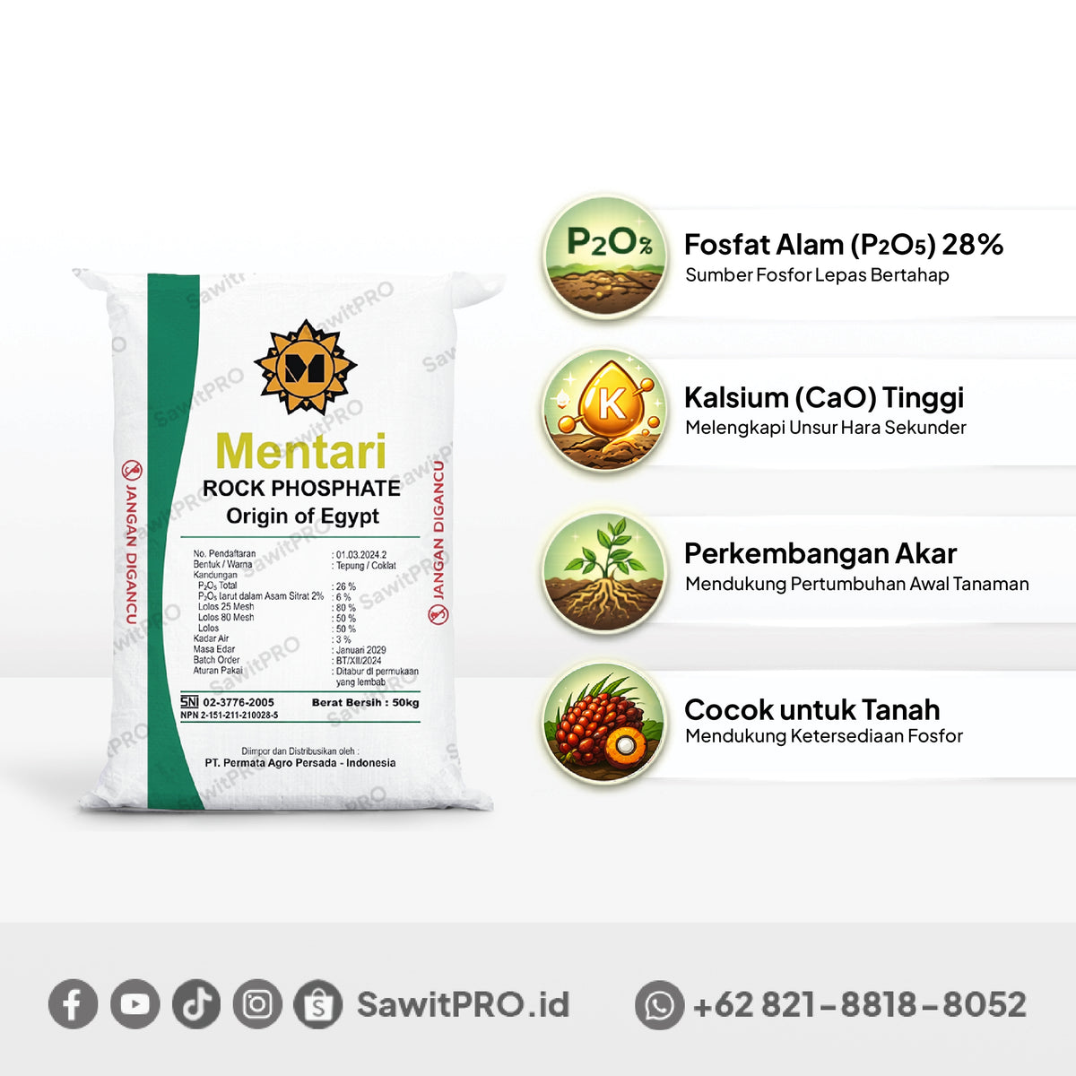 Pupuk RP Egypt Mentari 50kg