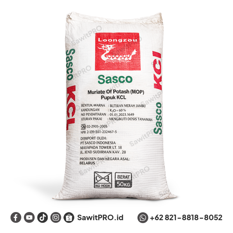 MOP/KCL Sasco 50kg (GROSIR)