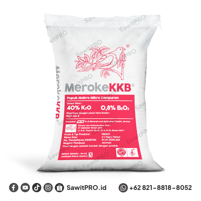 Meroke Korn Kali B (KKB) 50kg (GROSIR)