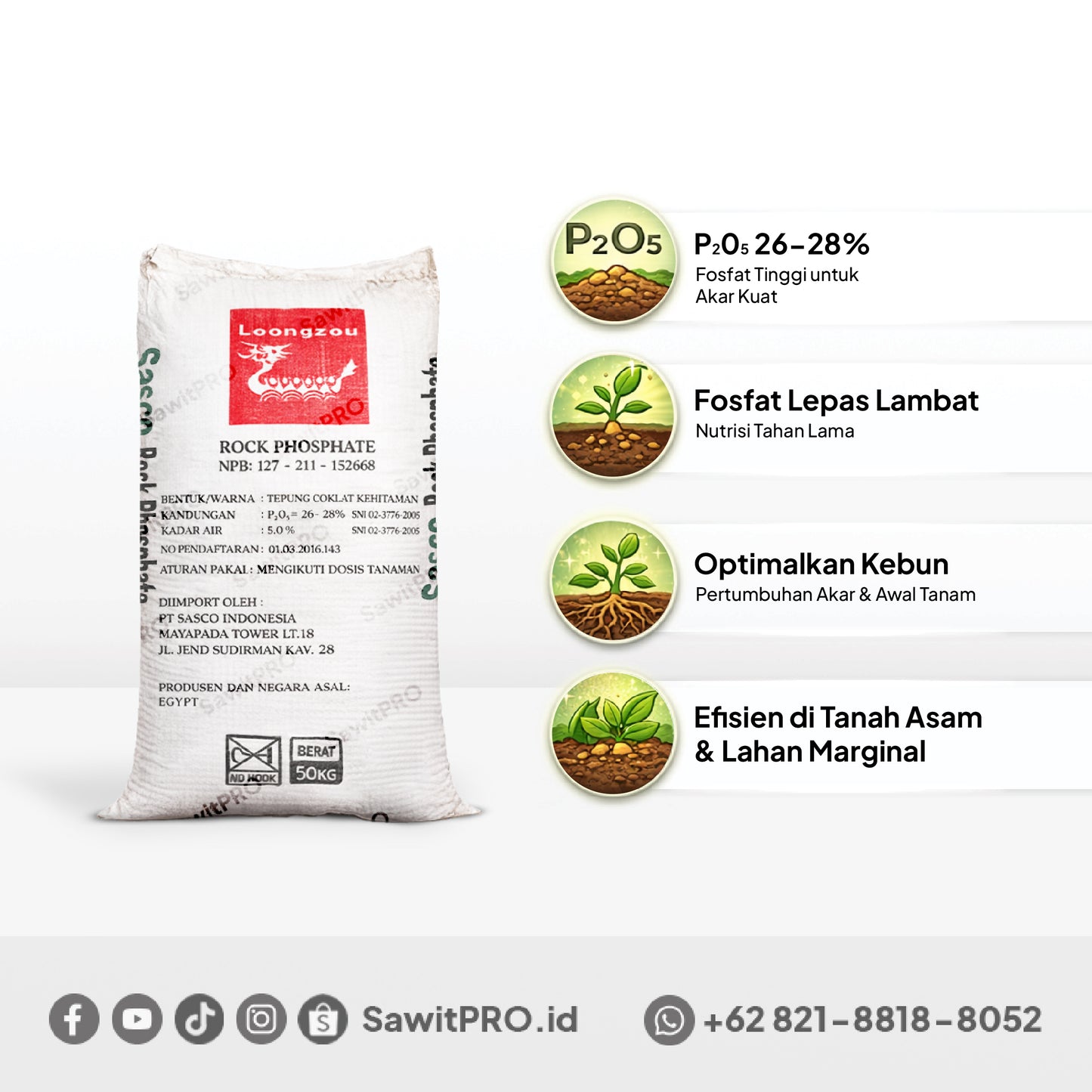 RP Sasco 50kg - Egypt
