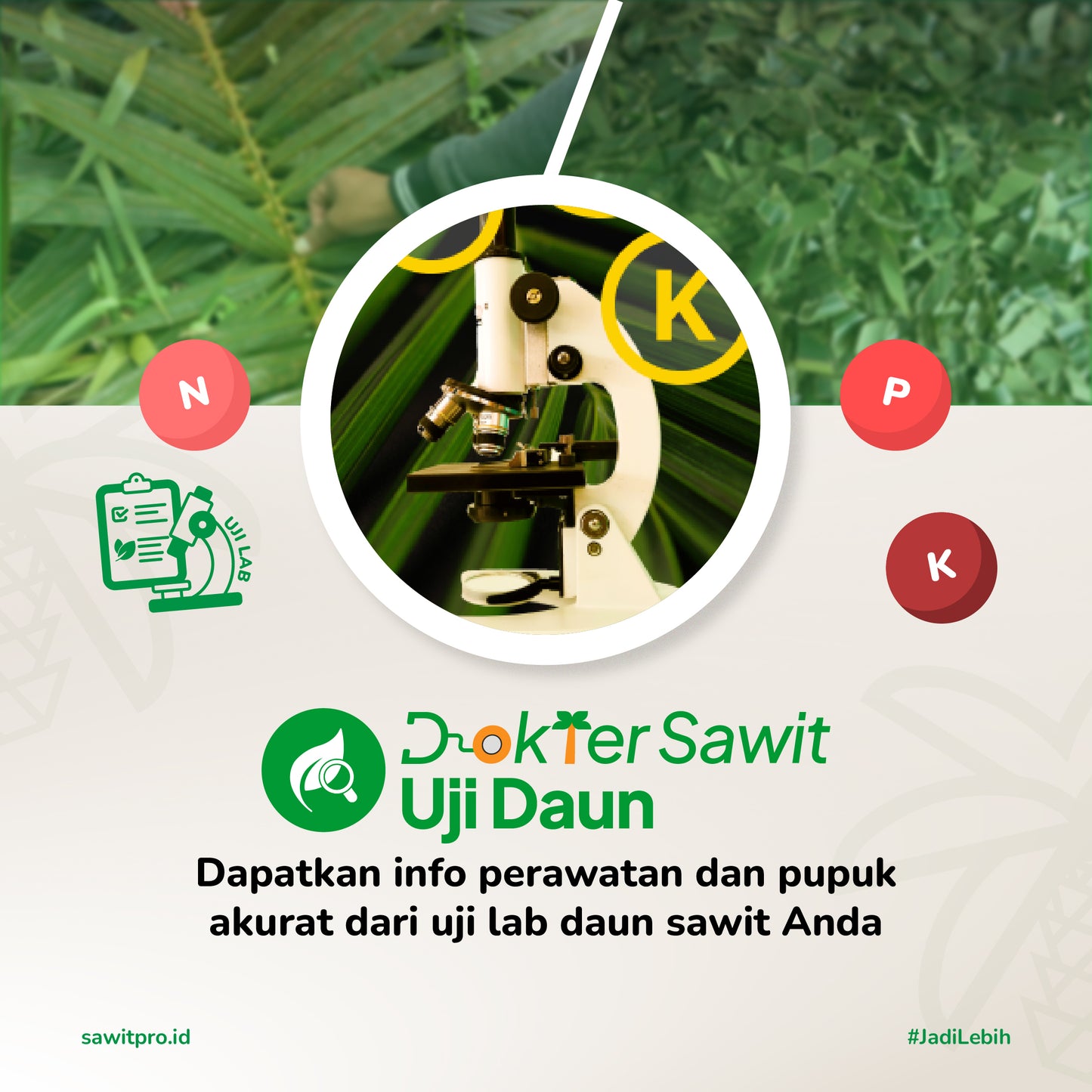Dokter Sawit Ujidaun (N, P, K)