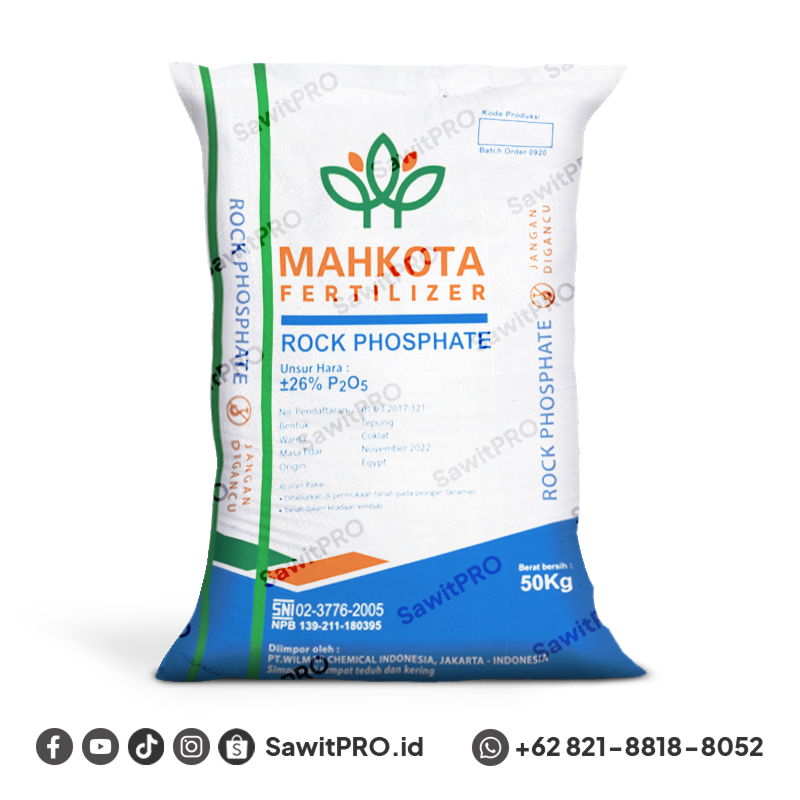RP Mahkota 50kg - Egypt
