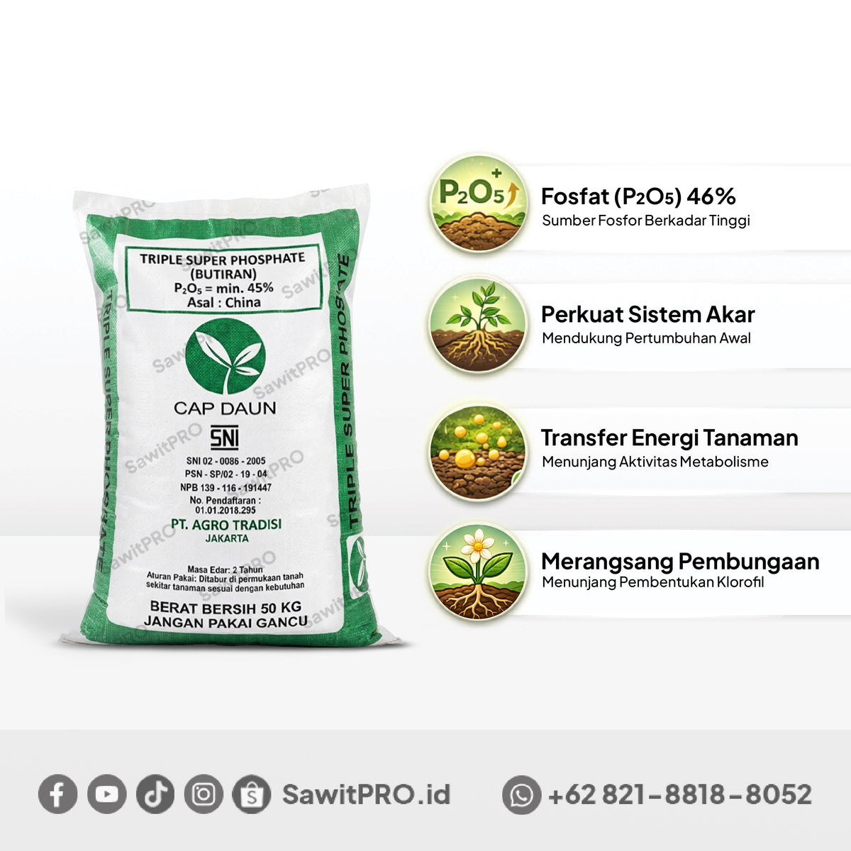 TSP Cap Daun 50kg (GROSIR)
