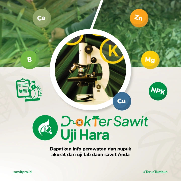 Dokter Sawit Uji Hara Lengkap (Daun dan Tanah) + Rekomendasi