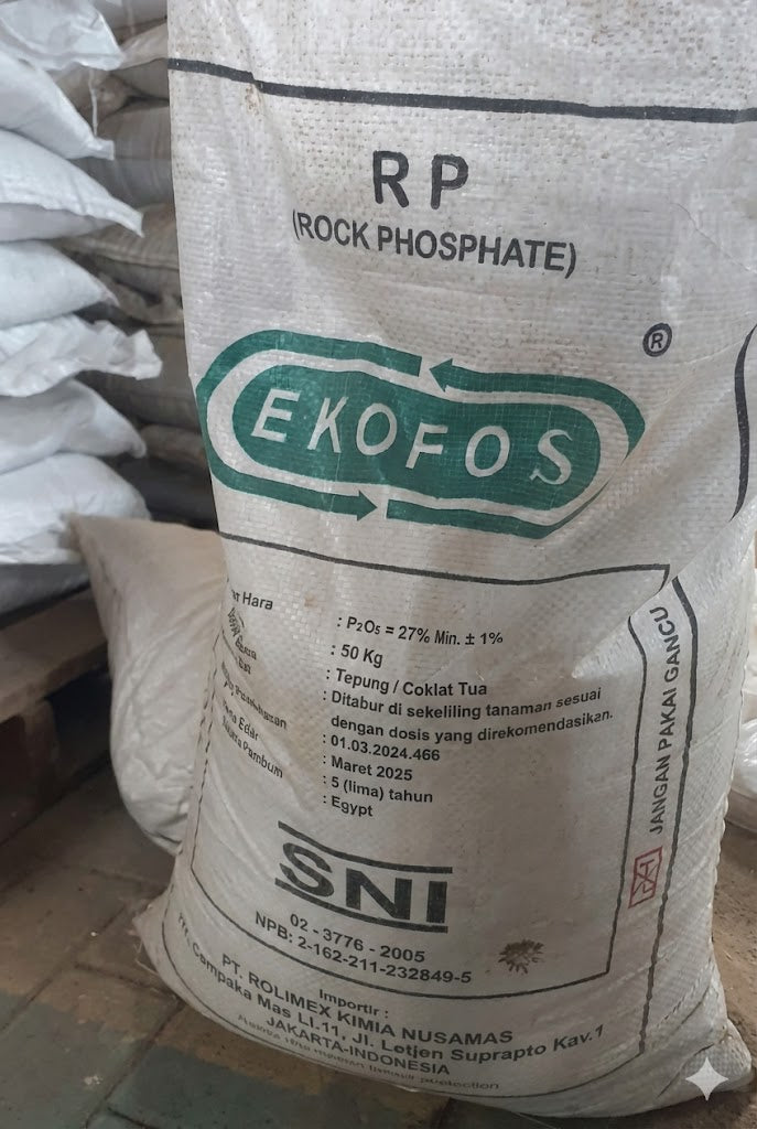 Pupuk RP Egypt Ekofos 50kg