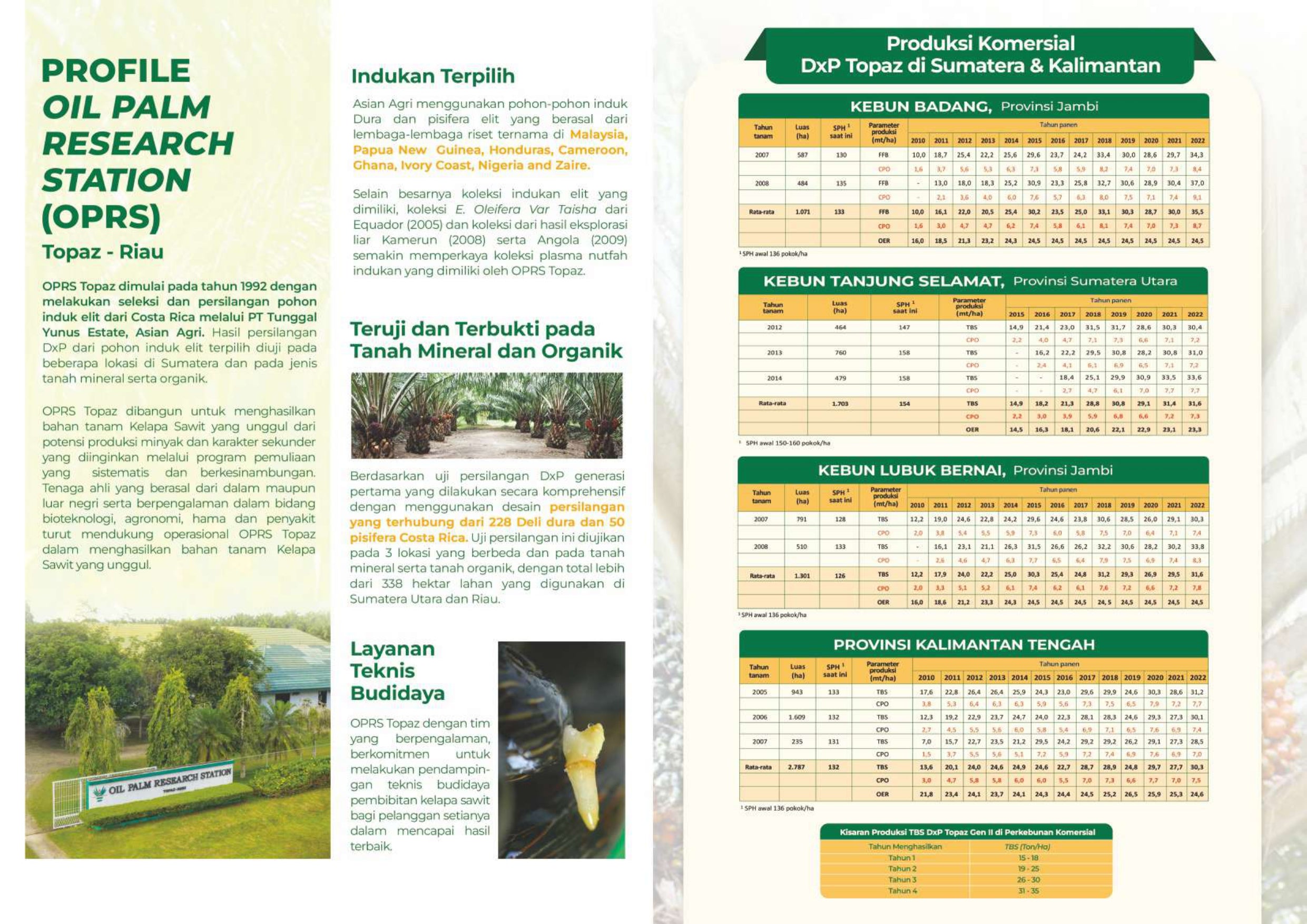 Benih Sawit Topaz 1-3 Seri 4 (100 butir)