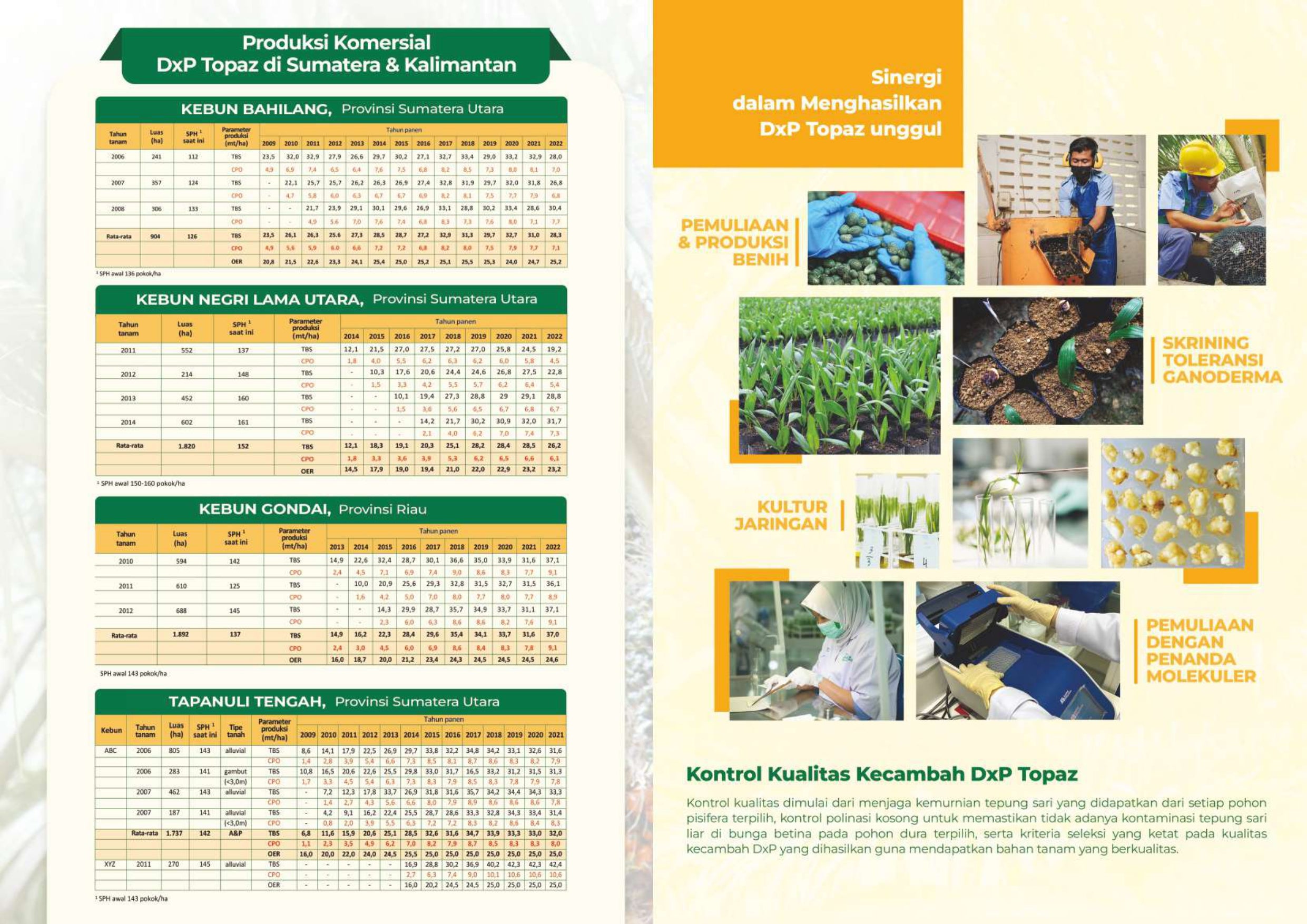 Benih Sawit Topaz 1-3 Seri 4 (100 butir)