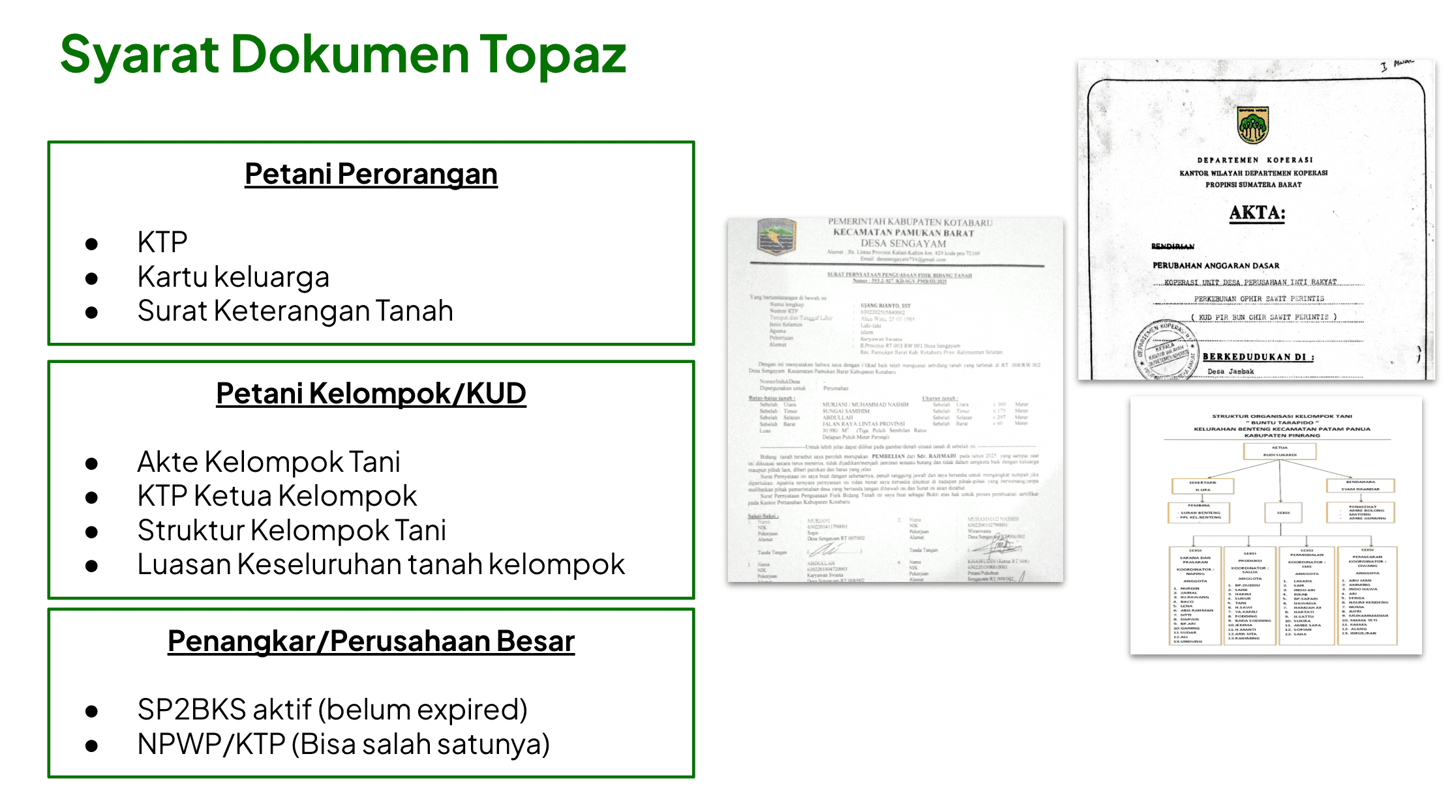 Benih Sawit Topaz GT (moderat toleran Ganoderma) (100 butir)
