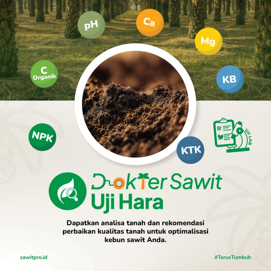 Dokter Sawit Uji Tanah (Fisik dan Kimia Lengkap)