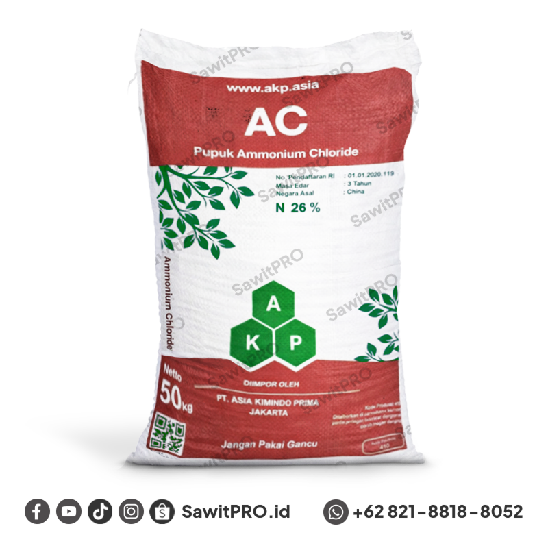 AC Powder AKP 50kg (GROSIR)
