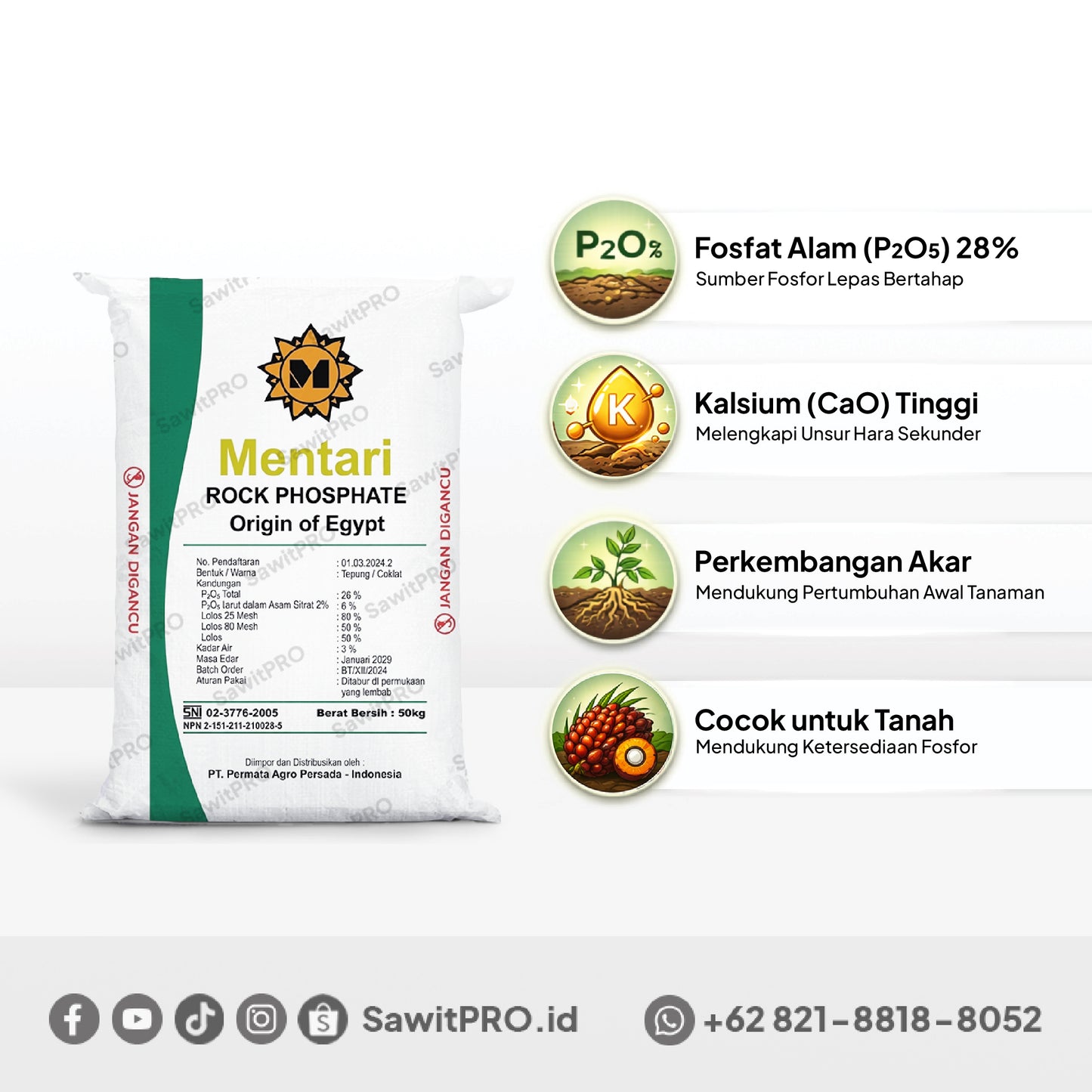 Pupuk RP Egypt Mentari 50kg