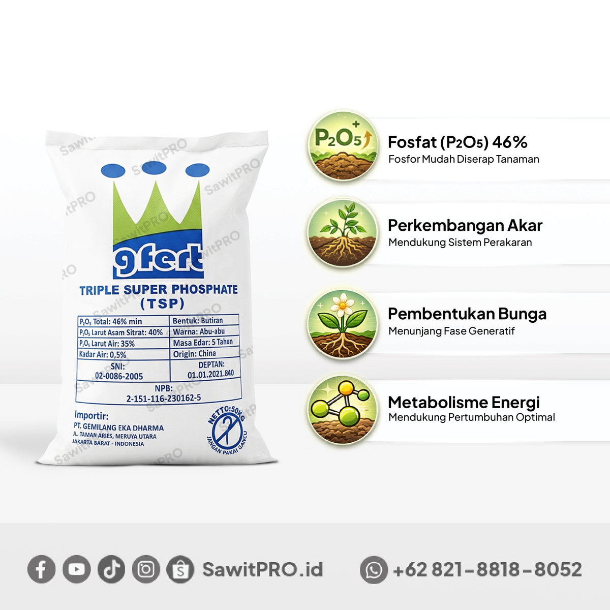 Pupuk TSP Gfert 50Kg (GROSIR)