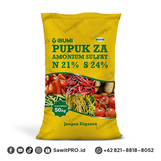 ZA Ibumi 50kg (GROSIR)