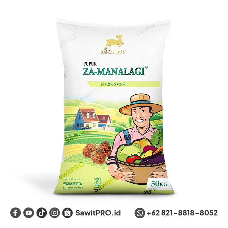 ZA Kancil Manalagi 50kg (GROSIR)