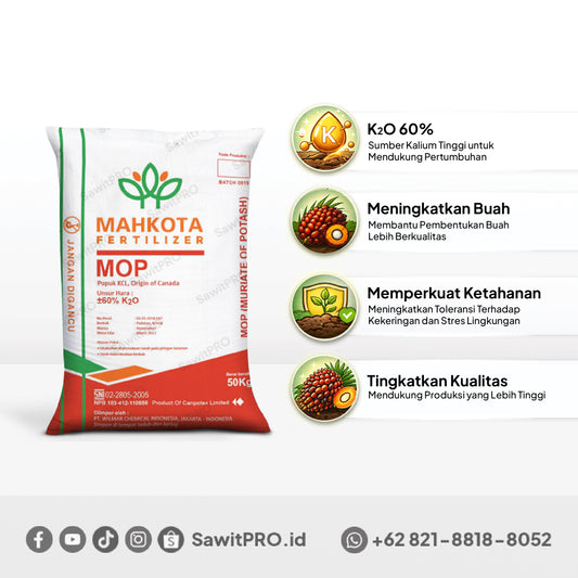 MOP/KCL Canada Cap Mahkota 50kg (GROSIR)