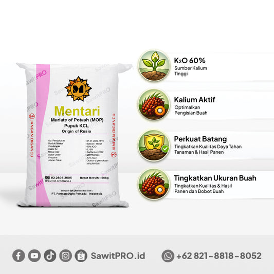 MOP/KCL Mentari 50kg (GROSIR)
