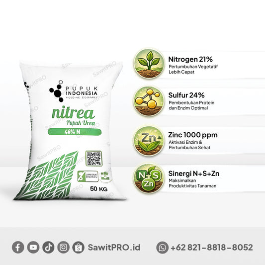 Urea Nitrea 46% N 50kg (GROSIR)