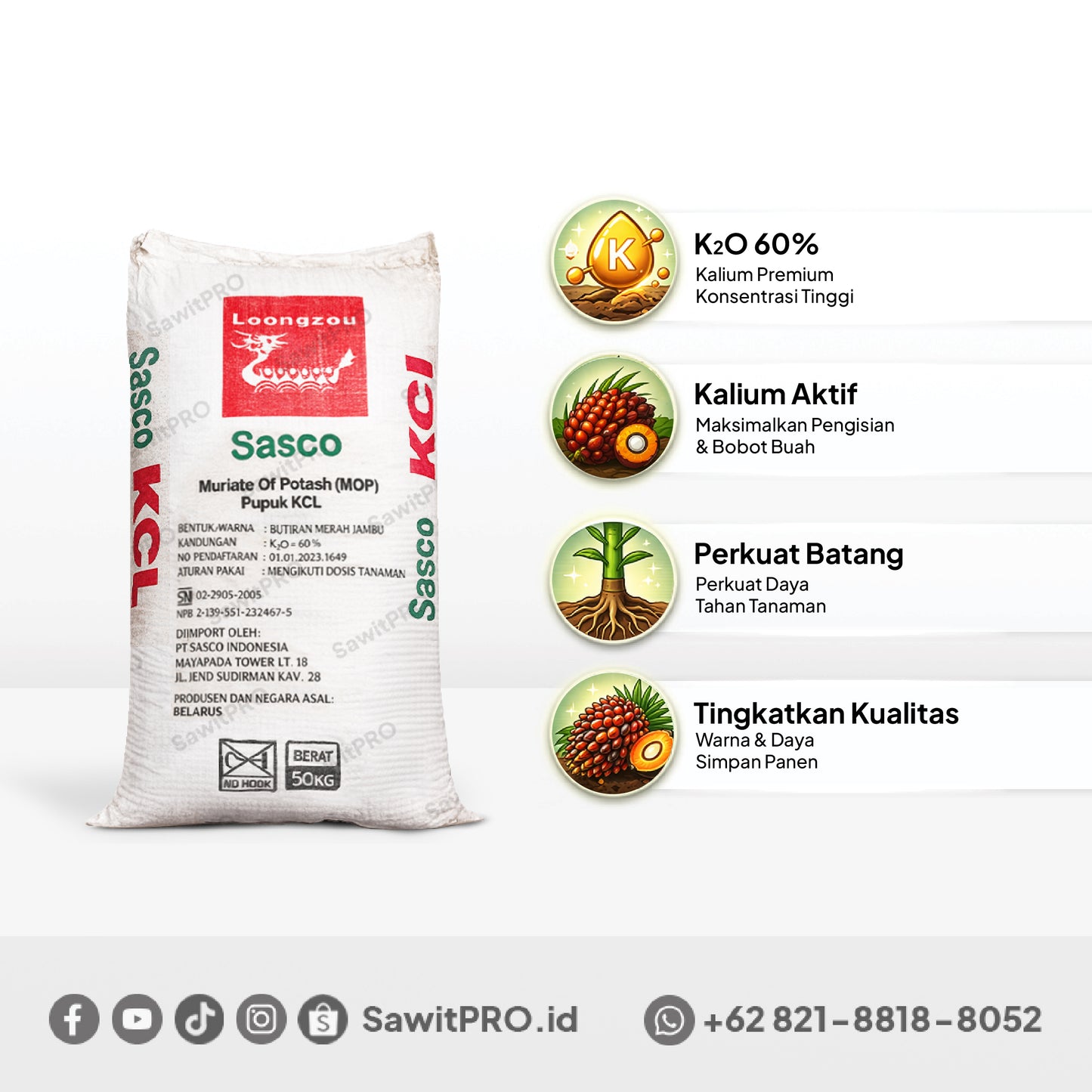 MOP/KCL Sasco 50kg (GROSIR)
