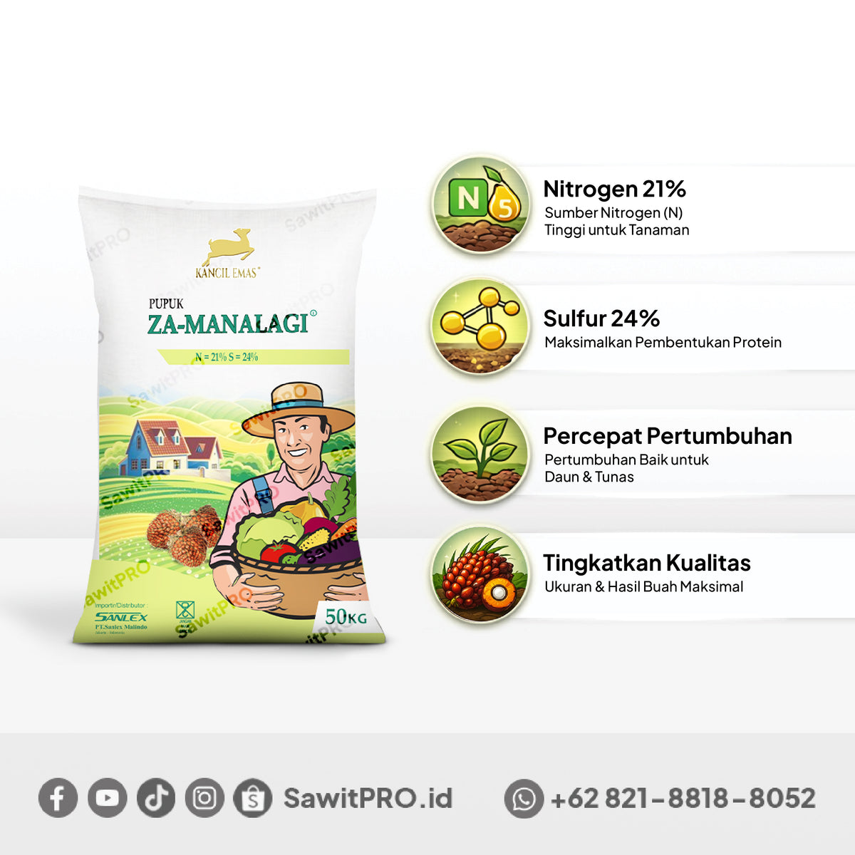 ZA Kancil Manalagi 50kg