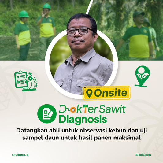 Dokter Sawit Diagnosis