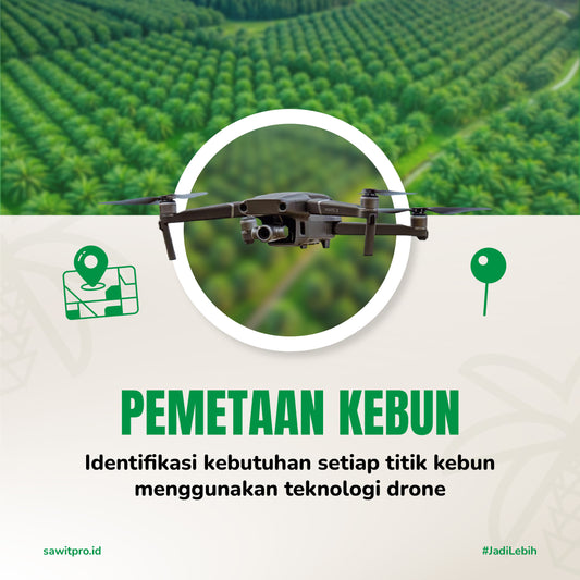 Pemetaan Kebun (tanpa laporan hasil)