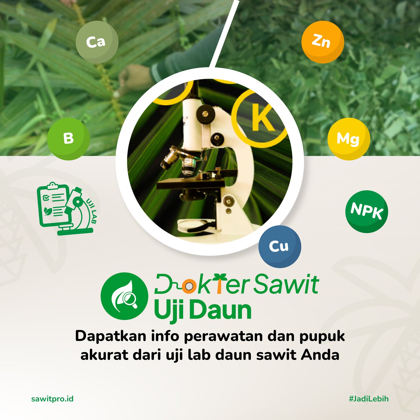 Dokter Sawit Ujidaun (NPK, Mg, Ca, B, Cu, Zn)