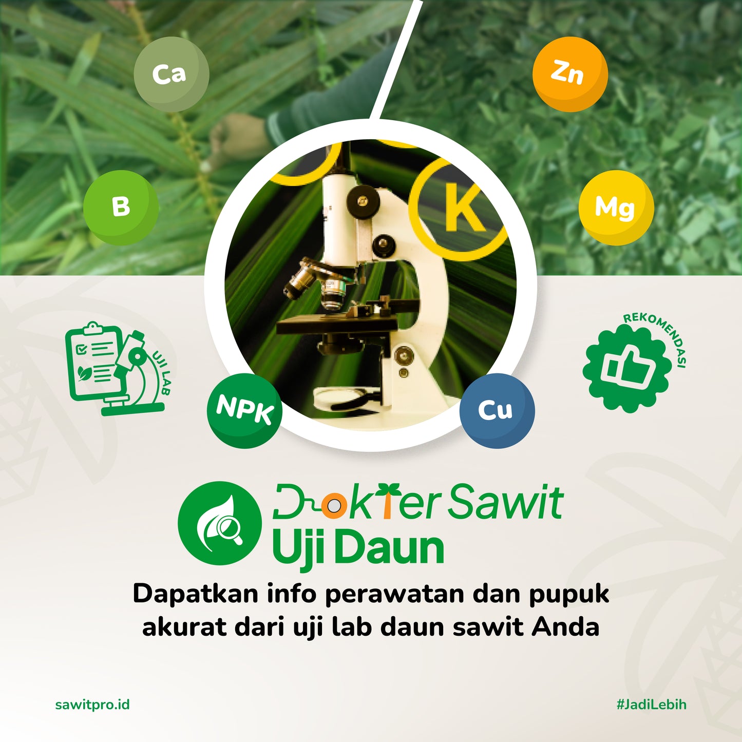 Dokter Sawit Ujidaun (NPK, Mg, Ca, B, Cu, Zn) + Rekomendasi