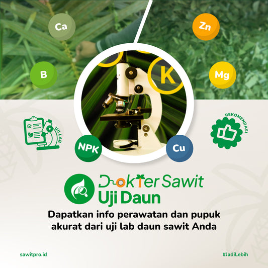 Dokter Sawit Ujidaun (NPK, Mg, Ca, B, Cu, Zn) + Rekomendasi