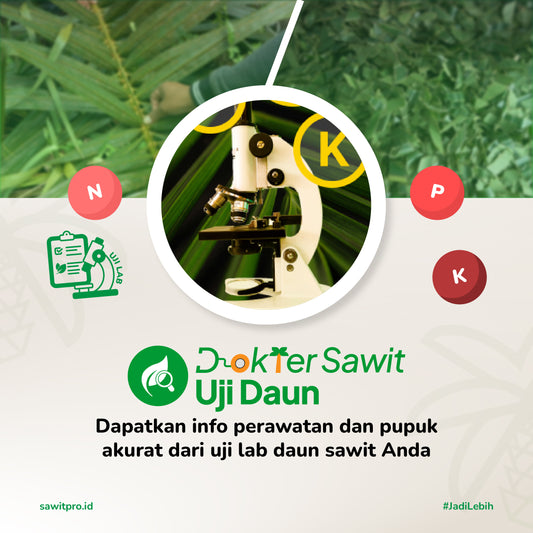 Dokter Sawit Ujidaun (N, P, K)