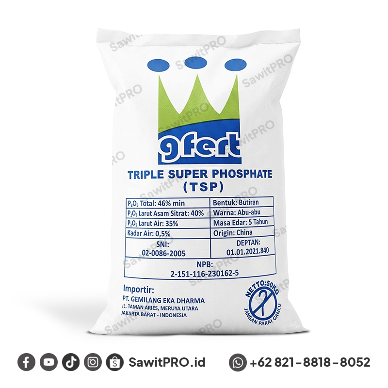 Pupuk TSP Gfert 50Kg (GROSIR)