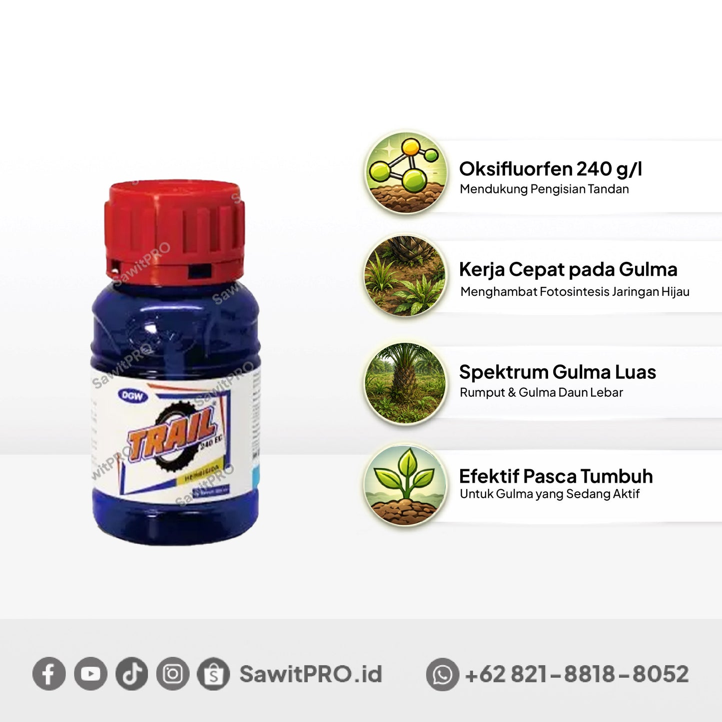 Triester 670 EC - 250ml