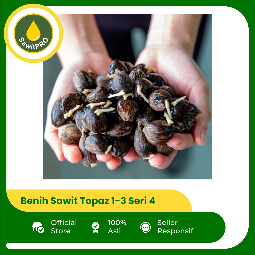 Benih Sawit Topaz 1-3 Seri 4 (100 butir)