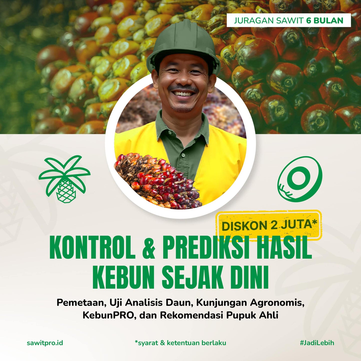 Juragan Sawit Paket 6 Bulan